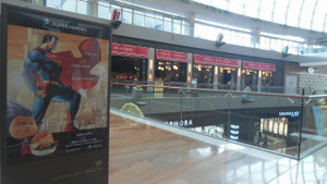 Dccf_1