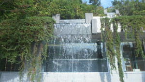 Cimg0246