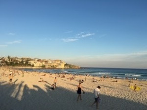 Bondi8