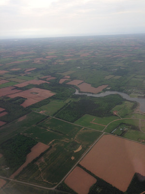 Photo_1