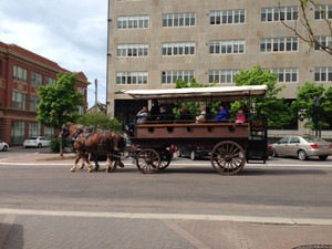 Photo_1_2