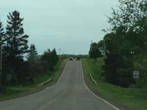 Photo_3