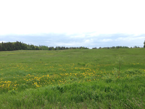 Photo_5