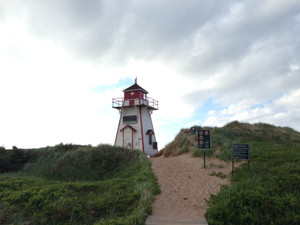 Photo_3