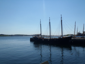 P7062150