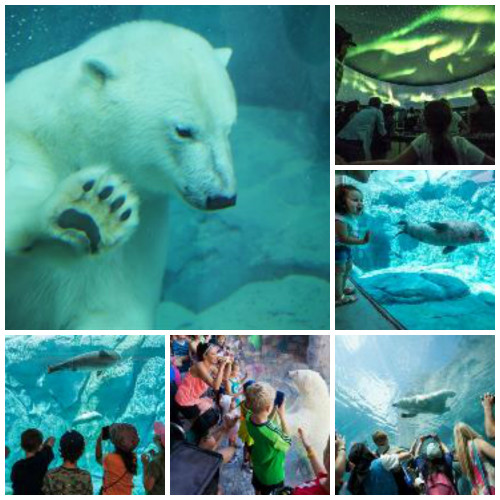 Picmonkey_collage