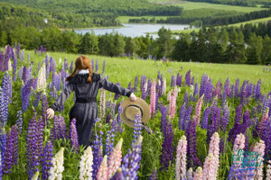 Tpei08_js_anne_running_lupins