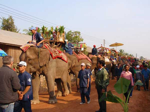 Elephantfestival2