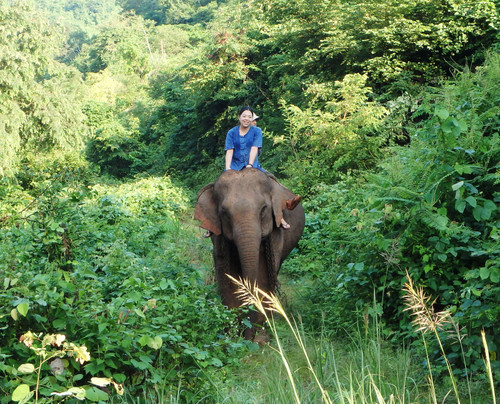 Mahout2